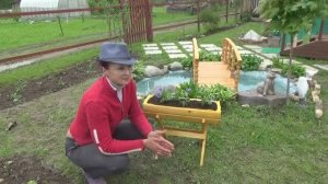 Кашпо для цветов на подставке-козлике моими руками 2020 год