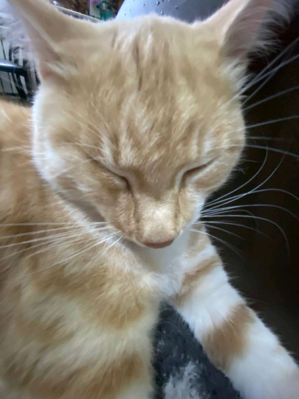 румтур моей комнаты