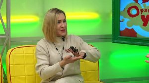 Денис Рыбаков, Марина Косарева // «Оранжевое утро» 16.01.25