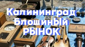 Блошиный рынок Калининград. Антикварные магазины. Фарфор, серебро Европа. Обзор покупок у башни.