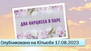 Два нарцисса в паре (17.08.2023)