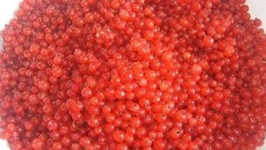 Сок из красной смородины