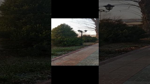 VID_20241222_091220