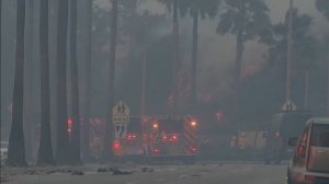 ШОК! Сцены из лесных пожаров в Калифорнии Los Angeles 18+