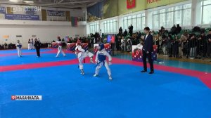 Первенство Дагестана по тхэквондо проходит в Махачкале