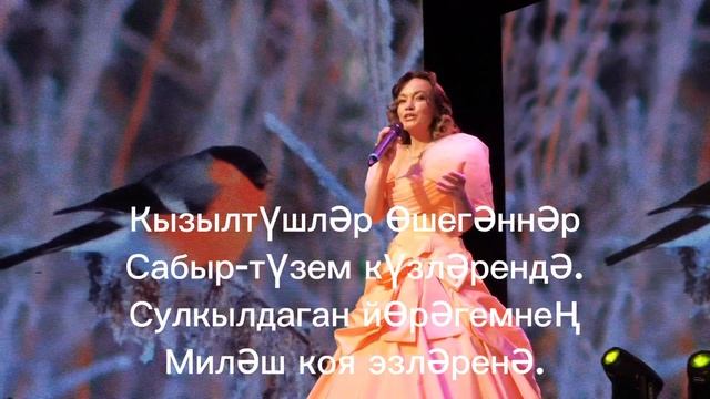 КЫЗЫЛТУШЛЭР МИНУСОВКА С ТЕКСТОМ.