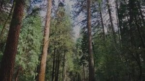 Клубный квартал Печорин гор. Кисловодск
