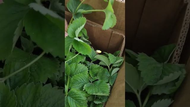 12 августа 2024 г. смотреть онлайн