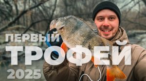 ПЕРВЫЙ ТРОФЕЙ 2025! Открытие сезона по ГОЛАВЛЮ. Спиннинг на малой реке в январе.