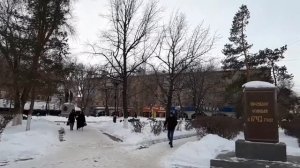 Новогодние странички Видео Виктора Поживина