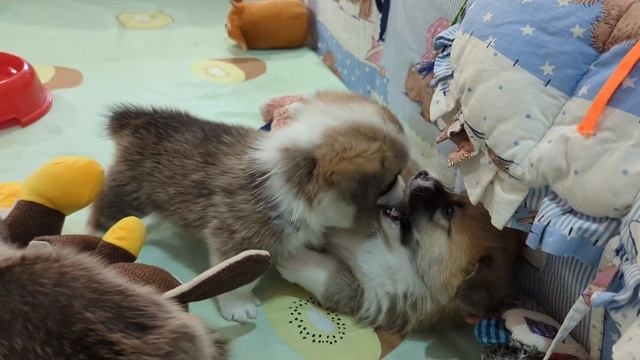 Мальчишки...всегда такие мальчишки