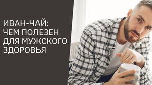 ИВАН-ЧАЙ: ЧЕМ ПОЛЕЗЕН ДЛЯ МУЖСКОГО ЗДОРОВЬЯ