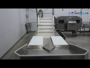 Линия переработки рыбы