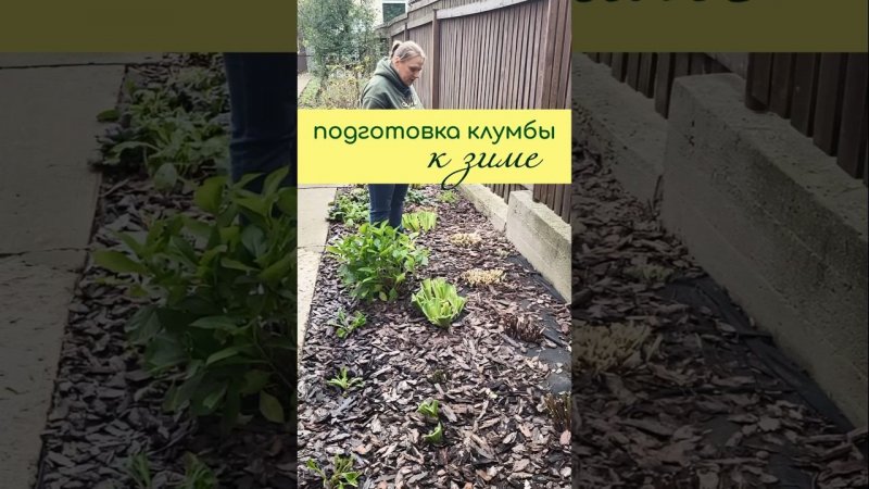 Подготовка КЛУМБЫ к зиме