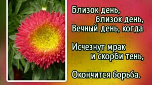 219 В чудный край, дивный край (-)