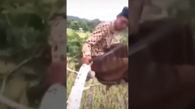 пилит ветку на которой сидит прикрыл бсоо подпишись