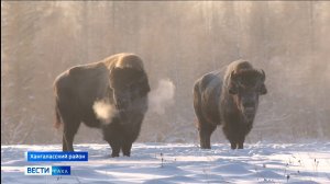 21:10 ВЕСТИ САХА 16/01/25 НА РУССКОМ ЯЗЫКЕ