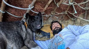 SOLO 3 DAYS survival (NO FOOD, NO WATER, NO SHELTER) Catch and Cook. FISHING, OCTOPUS.camp