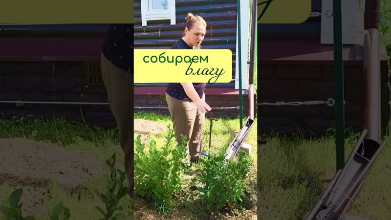 Собираем ВЛАГУ на участке