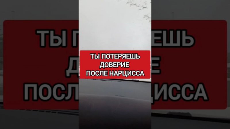 НАРЦИСС ЗАСТАВИТ ТЕБЯ ПОТЕРЯТЬ ВЕРУ В ЛЮДЕЙ #нарциссизм #нрл