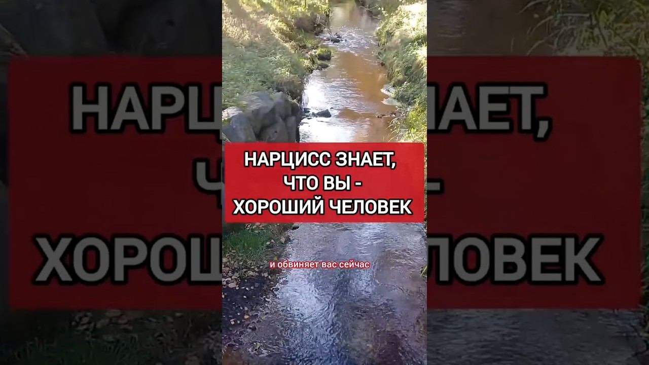 Нарцисс Знает, что ТЫ - Хороший Человек. Почему Нарцисс Обесценивает? #нарциссизм #нрл #отношения смотреть онлайн