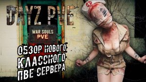 DayZ PVE ОБЗОР НОВОГО КЛАССНОГО СЕРВЕРА  WAR SOULS