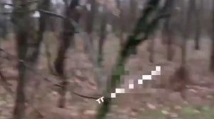 Рубрика как делать не надо! 
Минимальная дистанция должна быть не менее 30 метров.