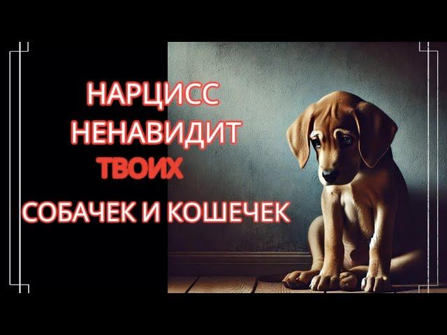 НАРЦИСС ВСЕГДА ЖЕСТОКО ОБХОДИТСЯ С ДОМАШНИМИ ЖИВОТНЫМИ #нарциссизм #нрл #отношенияснарциссом