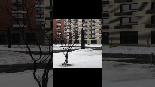 Коммерческая аренда нежилого помещения в Зеленограде