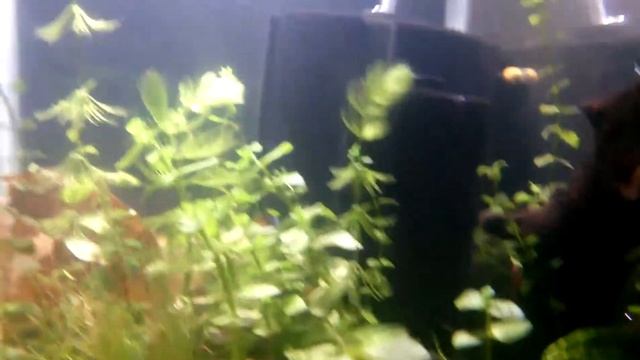 Neons Breathing Heavily