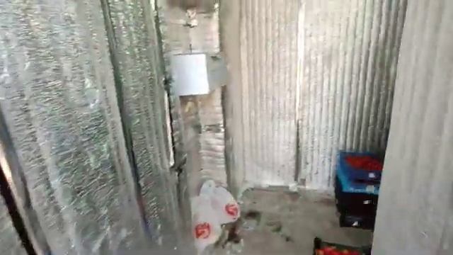 Сбор урожая клубники, самое интересное время в году)) смотреть онлайн