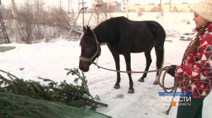 Совместить полезное с приятным