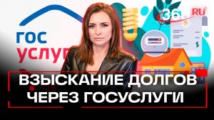 Эксперимент направлен против граждан - взыскания долгов по ЖКХ через Госуслуги. Екатерина Малашенко