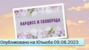 Нарцисс и сковорода (09.08.2023)