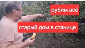 74//Купили старый дом на юге. Только бы всех не заразили.Рубить нужно всё.Она такая противная.