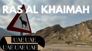 🇦🇪 Чем заняться в эмирате Рас-Эль-Хайма? Горы, пустыня, жемчуг, еда #оаэ #расэльхайма
