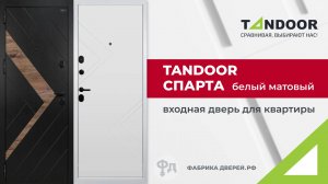 Входная дверь для квартиры Tandoor Спарта. Видеообзор