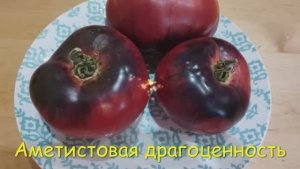 Каталог томатов 2024 г. Часть 1. Проверенные сорта