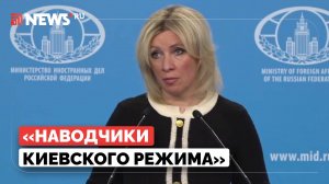 Захарова раскрыла, по чьей наводке была атакована станция Турецкого потока