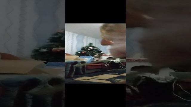 Выездка