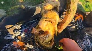 Готовим на природе 2.0