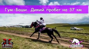 Конный пробег на перевале Гум-Баши, КЧР. Дистанция 37 км и почти 70 участников.