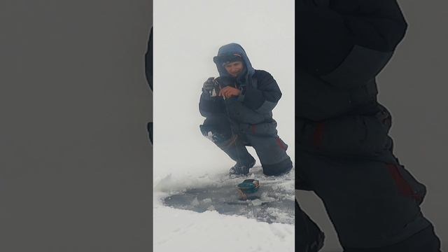 ПОПАЛ НА ЖОР КРУПНОГО ОКУНЯ/ОКУНЬ НА БАЛАНСИР/ РЫБАЛКА НА КУЙБЫШЕВСКОМ ВОДОХРАНИЛИЩЕ/ЗИМНЯЯ РЫБАЛКА