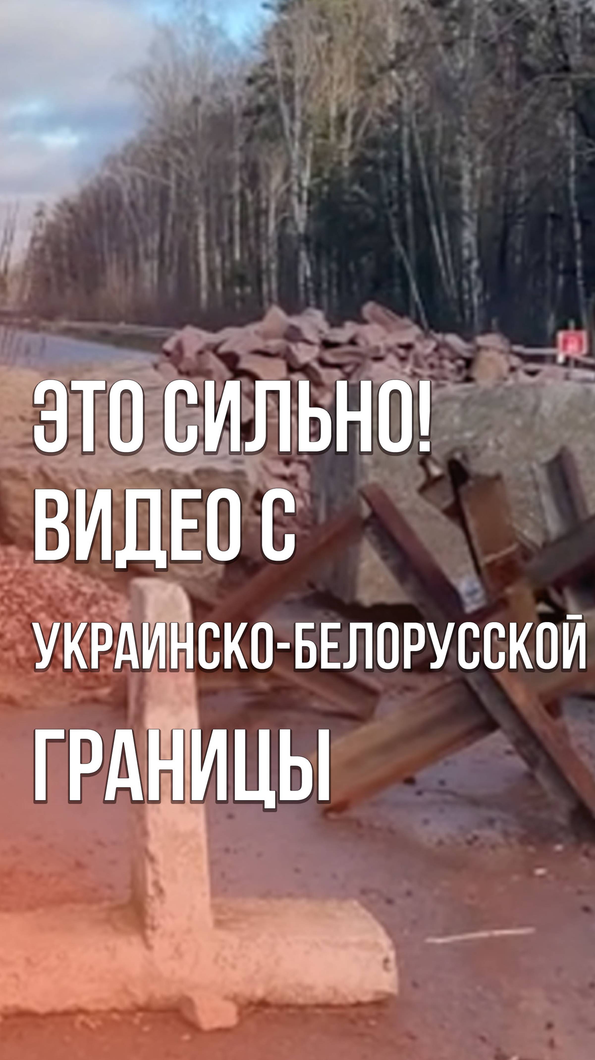 Безумие на границе с Белоруссией. Как думаете, зачем Украина это делает и что будет дальше?