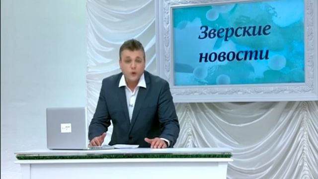 Жирный КРОЛИК! Зверские новости Xayc.TV №7