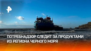 Роспотребнадзор усилил контроль за морепродуктами из Черного моря / РЕН Новости