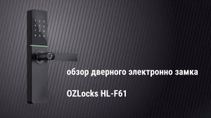 Краткий обзор дверного smart-замка OZLocks HL-F61