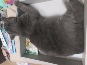 уборка в комнате