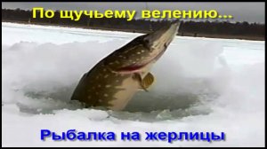 По щучьему велению