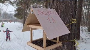 Бугульминские первоклассники пришли на помощь птицам